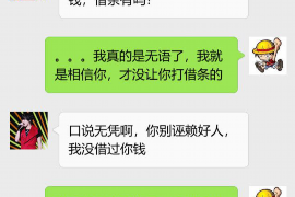 南乐为什么选择专业追讨公司来处理您的债务纠纷？